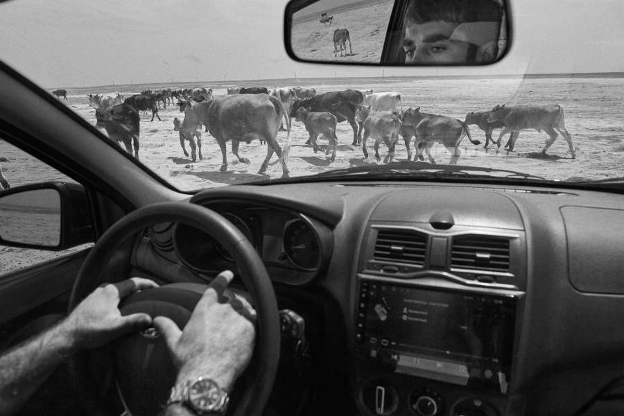 Ногайская степь