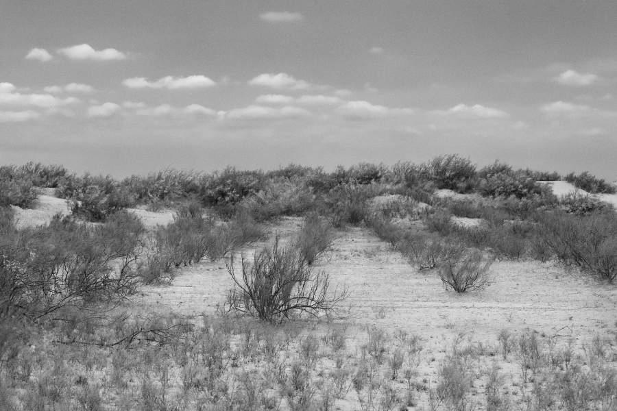 Ногайская степь