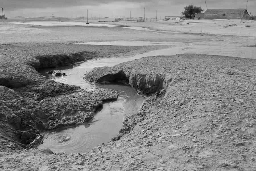 Ногайская степь