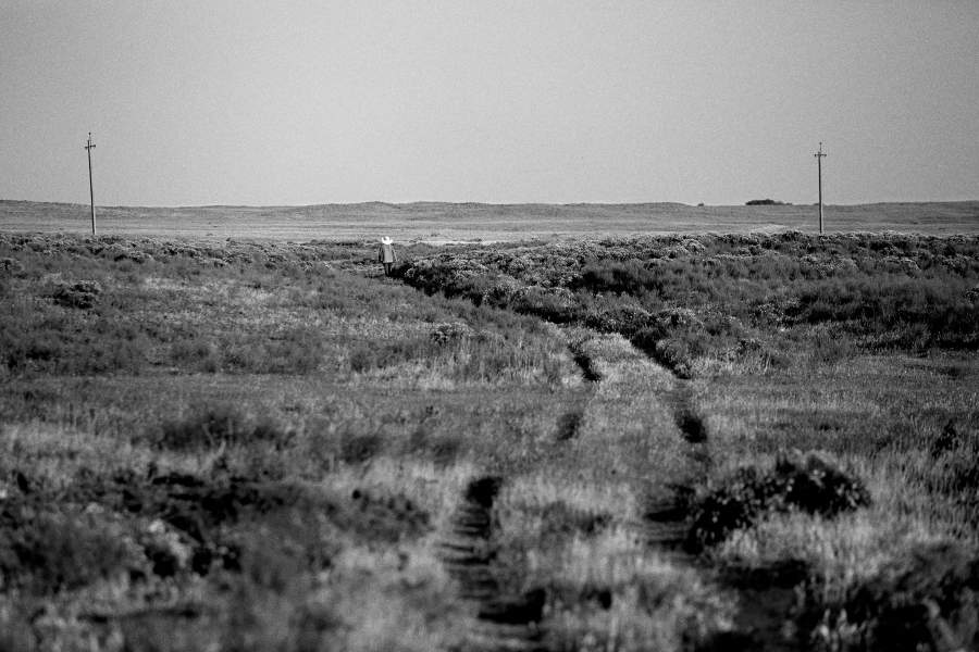 Ногайская степь