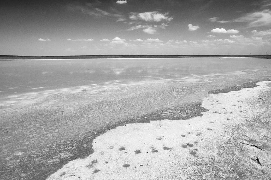 Ногайская степь