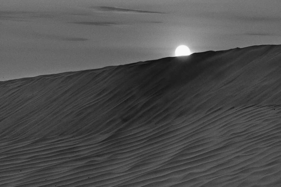 Ногайская степь