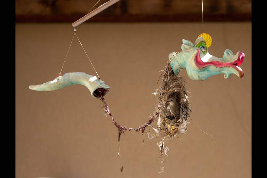 Победители World Nature Photography Awards 2024