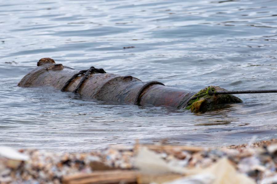 Фото прошедшей недели