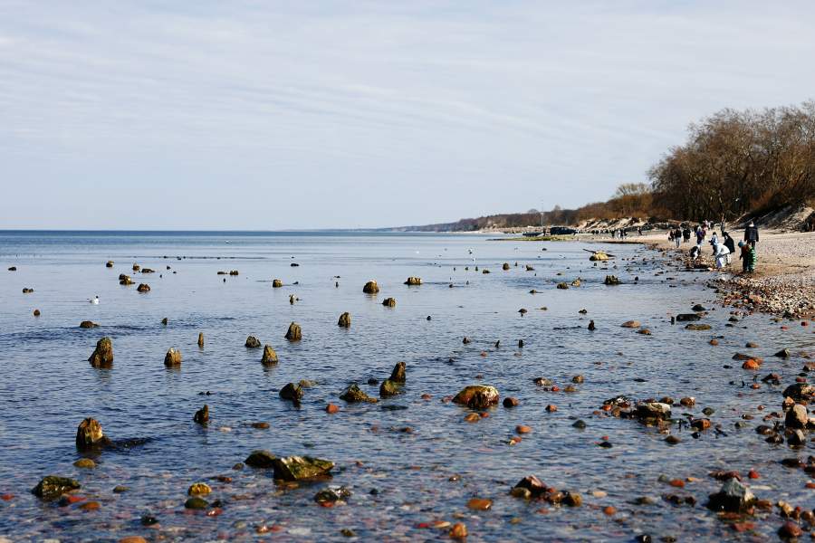 Фото прошедшей недели
