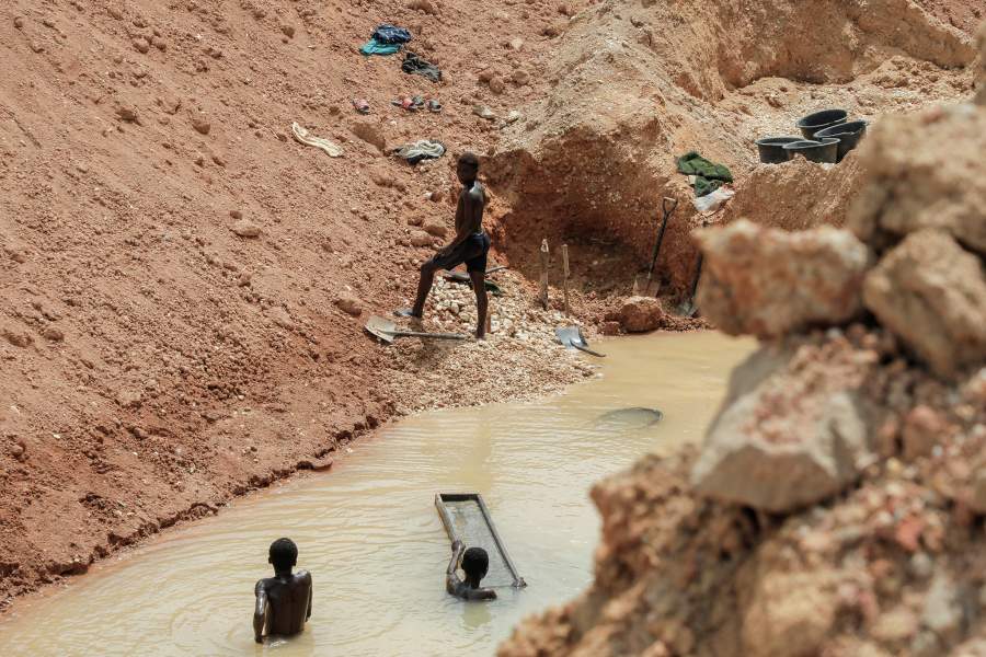 Африканские какао-плантации в опасности