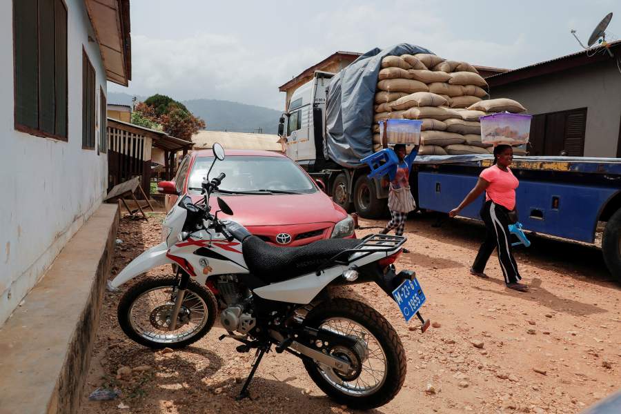 Африканские какао-плантации в опасности