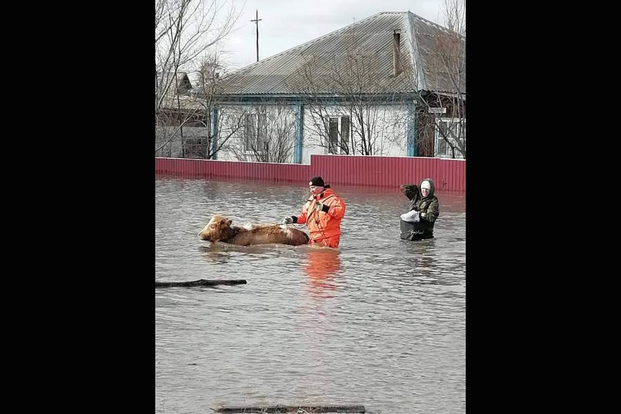 Паводок в Алтайском крае
