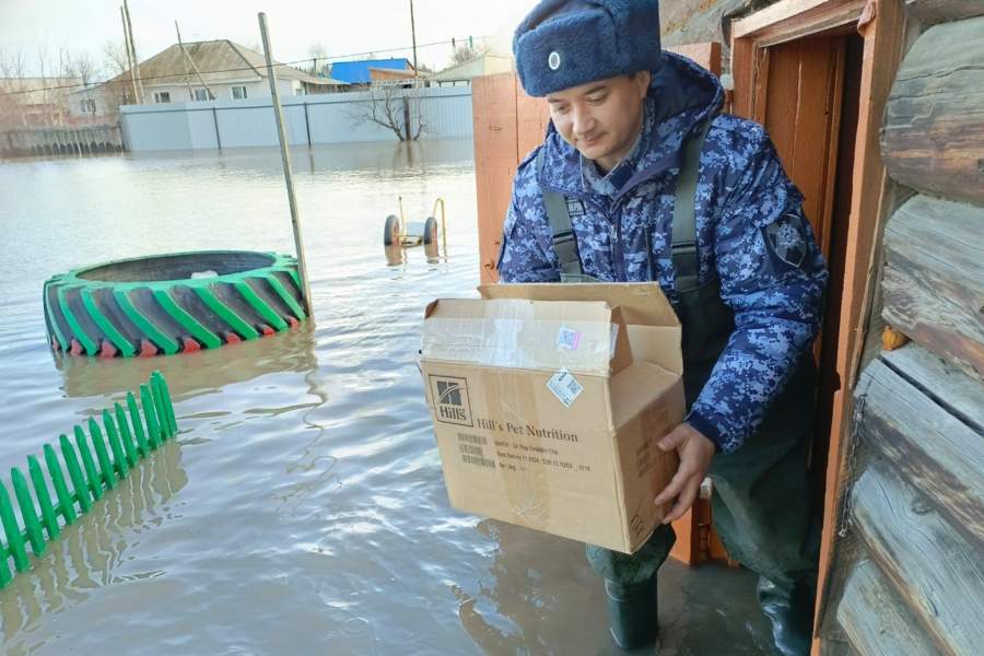 Паводок в Алтайском крае
