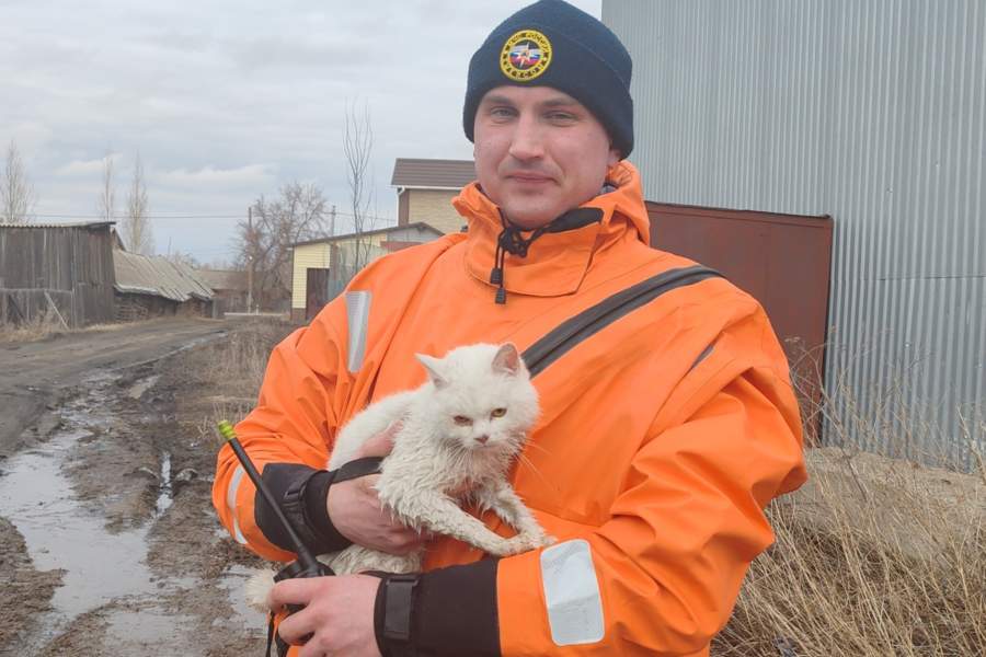 Паводок в Алтайском крае