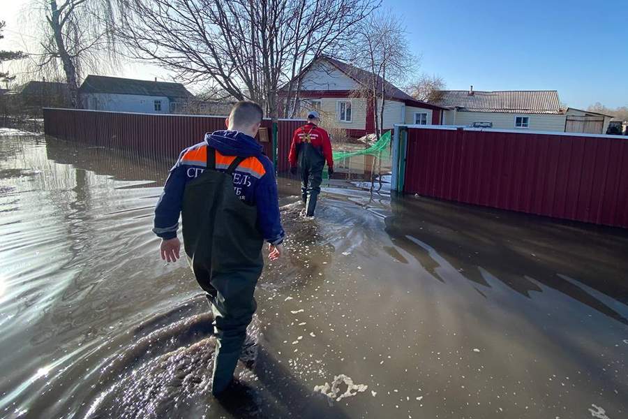 Кадры из Немецкого национального района