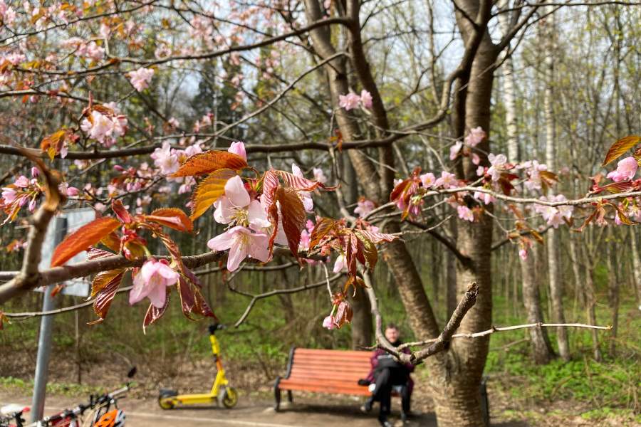 Фото прошедшей недели