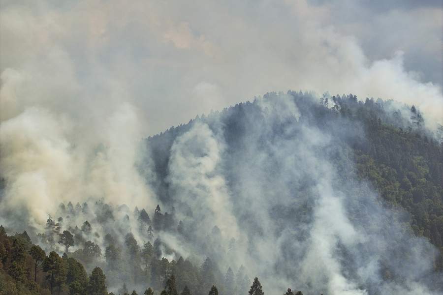 Фото прошедшей недели