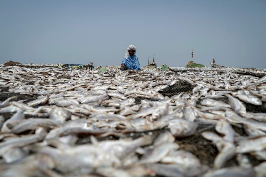 Как жители африканской деревни пытаются сбежать от нищеты