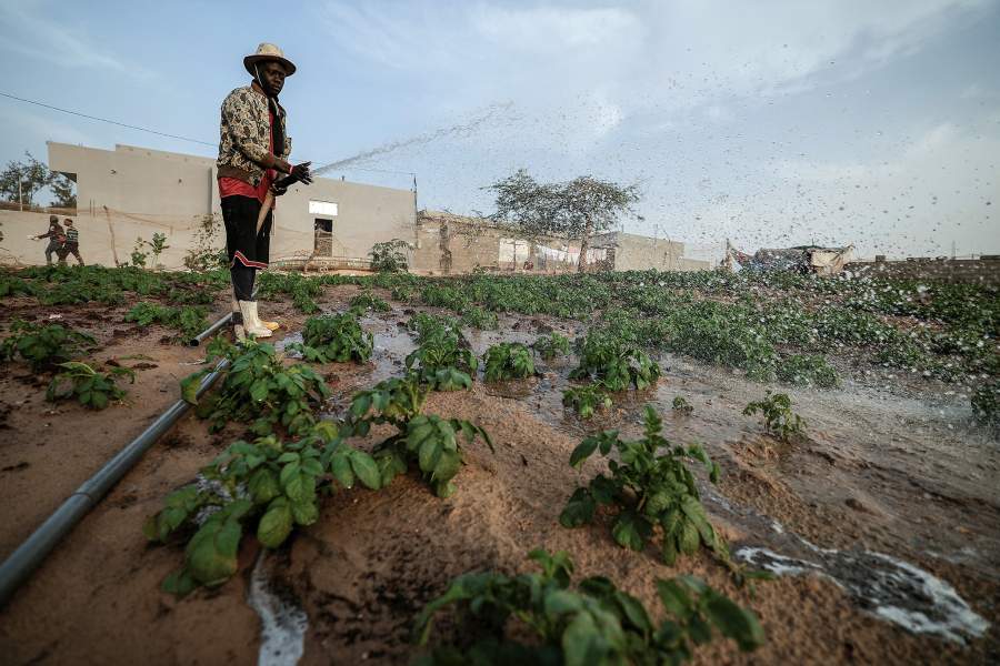 Как жители африканской деревни пытаются сбежать от нищеты