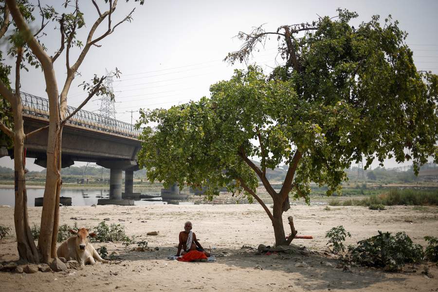 Жара в Индии