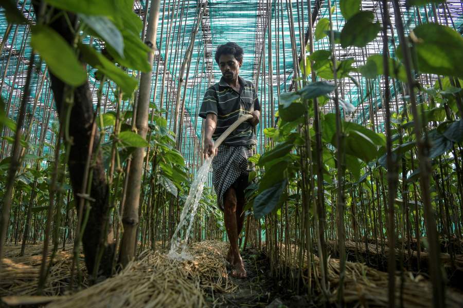 Тонущий остров в Индии