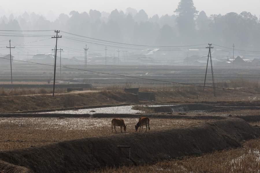 Весенний фестиваль народа Апатани