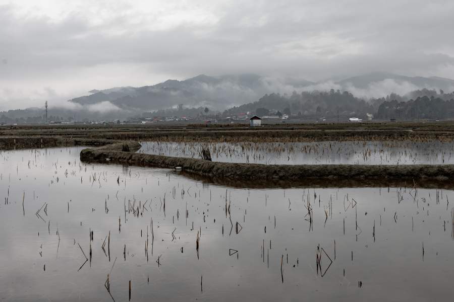 Весенний фестиваль народа Апатани
