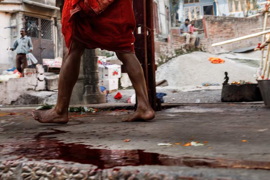 Храм Камакхи