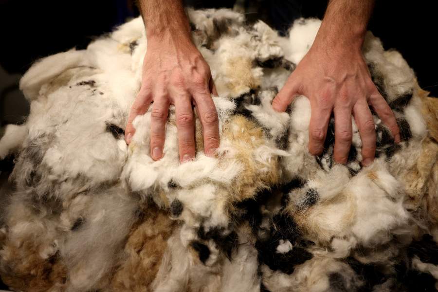 Фильтры из волос для очистки водоемов