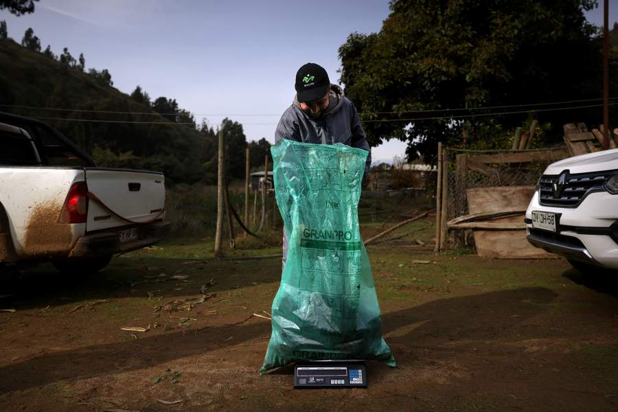 Фильтры из волос для очистки водоемов
