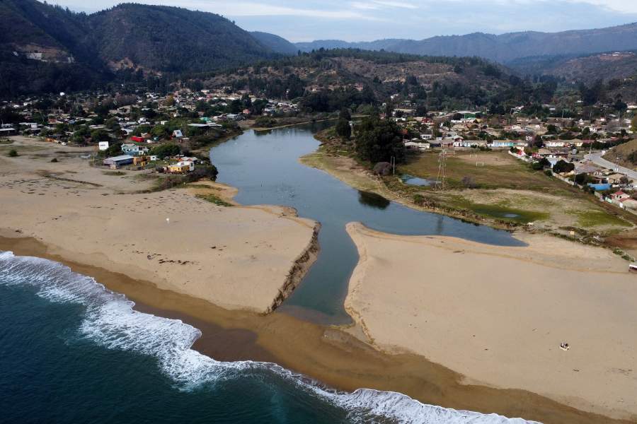 Фильтры из волос для очистки водоемов