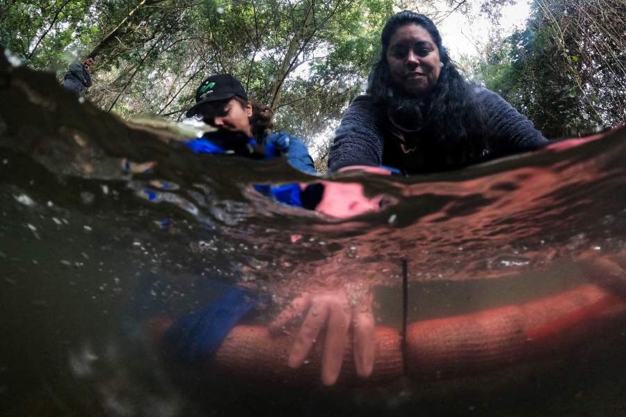 Фильтры из волос для очистки водоемов