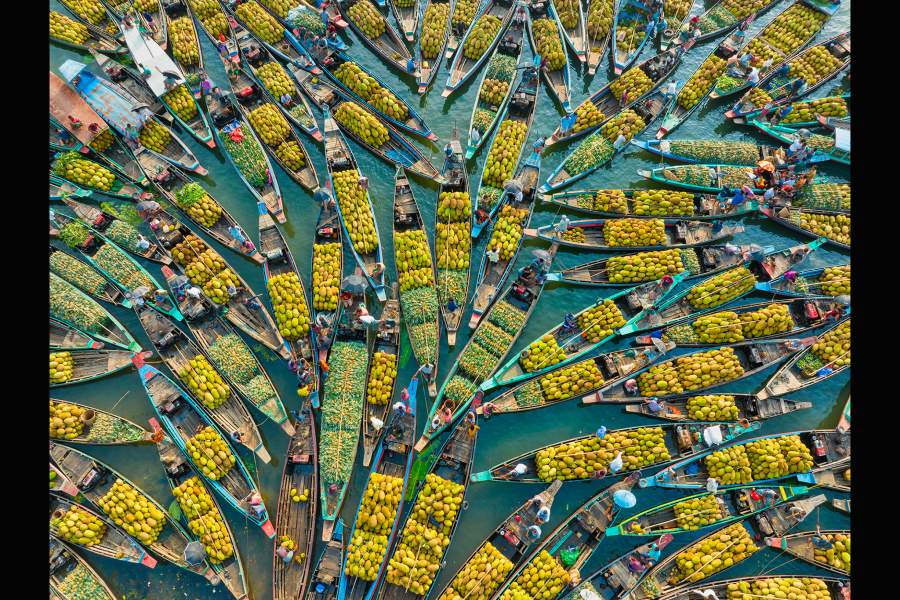 Победители Pink Lady Food Photographer of the Year 2024