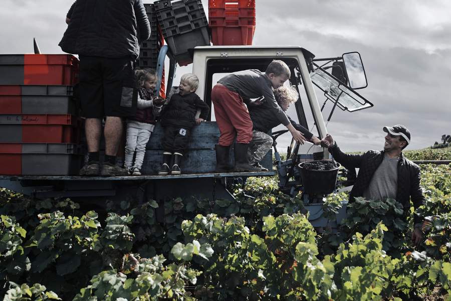 Победители Pink Lady Food Photographer of the Year 2024