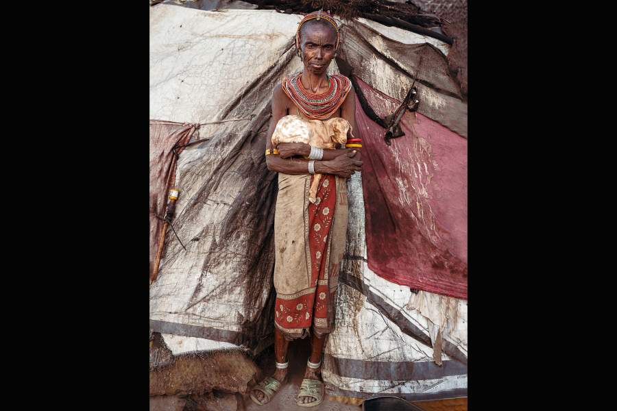 Победители Pink Lady Food Photographer of the Year 2024