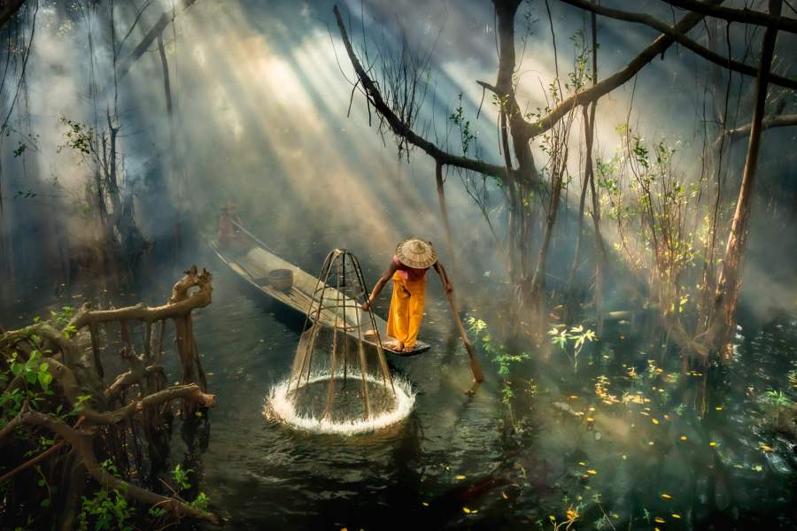 Победители Pink Lady Food Photographer of the Year 2024