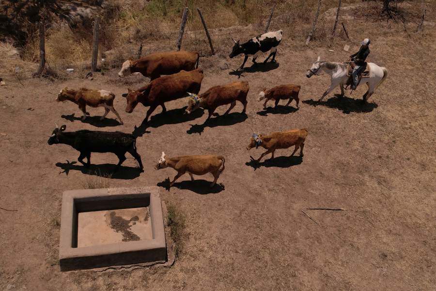 Засуха в Мексике