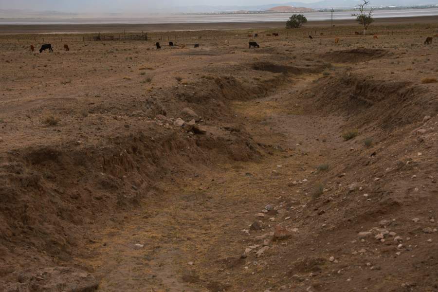 Засуха в Мексике