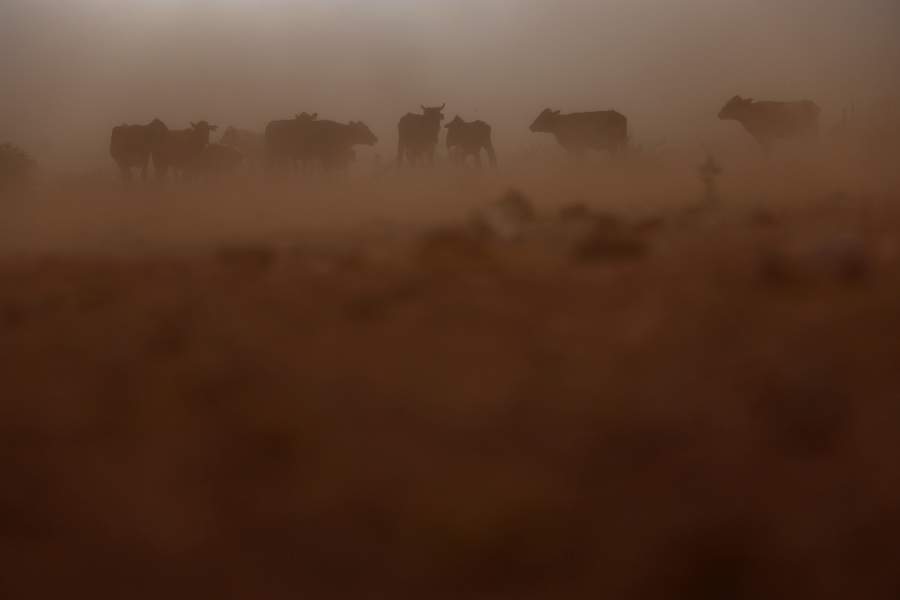 Засуха в Мексике