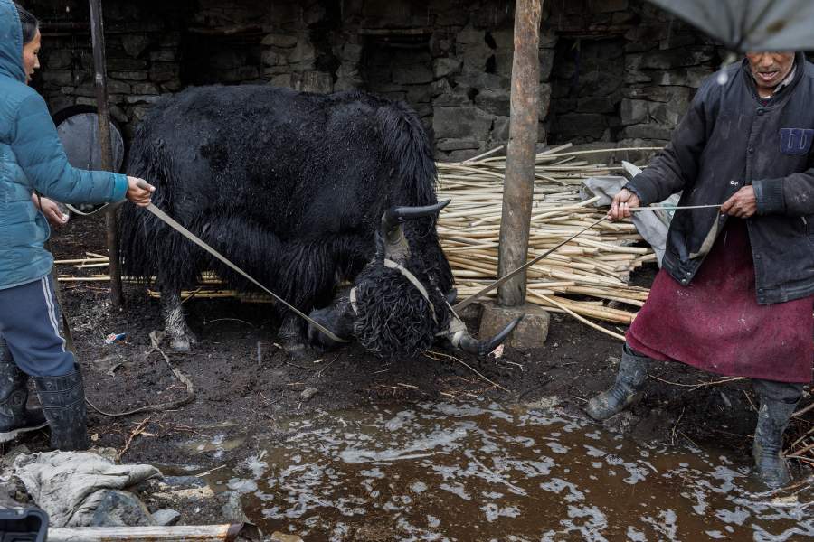 Затерянные в горах