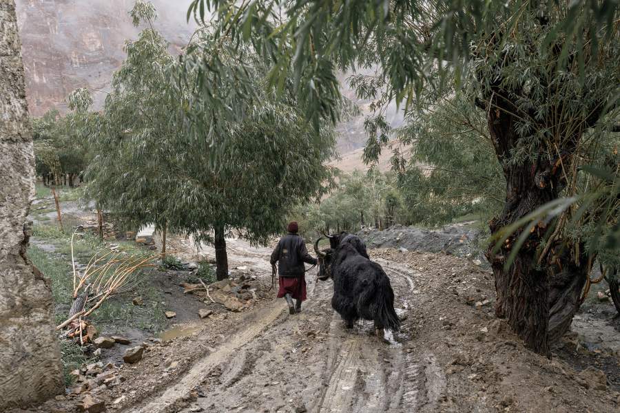 Затерянные в горах