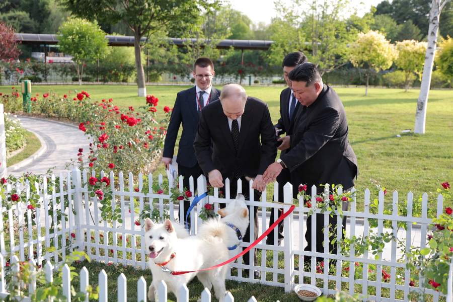 Путин в Северной Корее