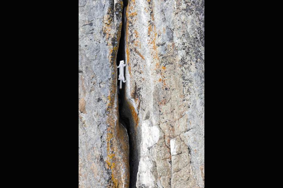 BigPicture Photography: Natural World Photography