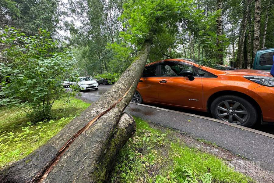 Фото прошедшей недели
