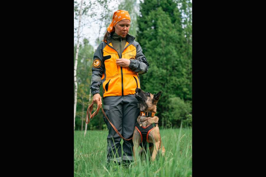 Как собаки помогают искать людей