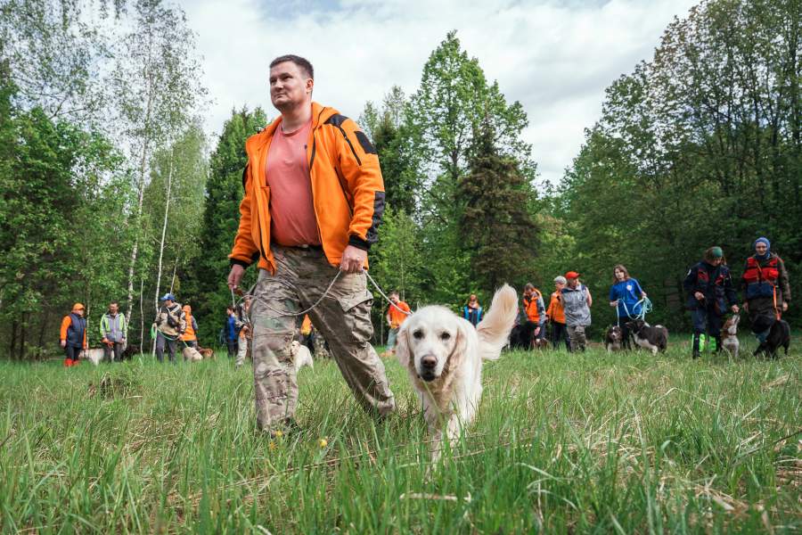 Как собаки помогают искать людей