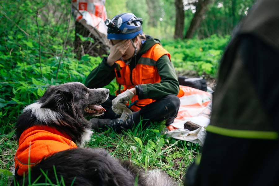 Как собаки помогают искать людей