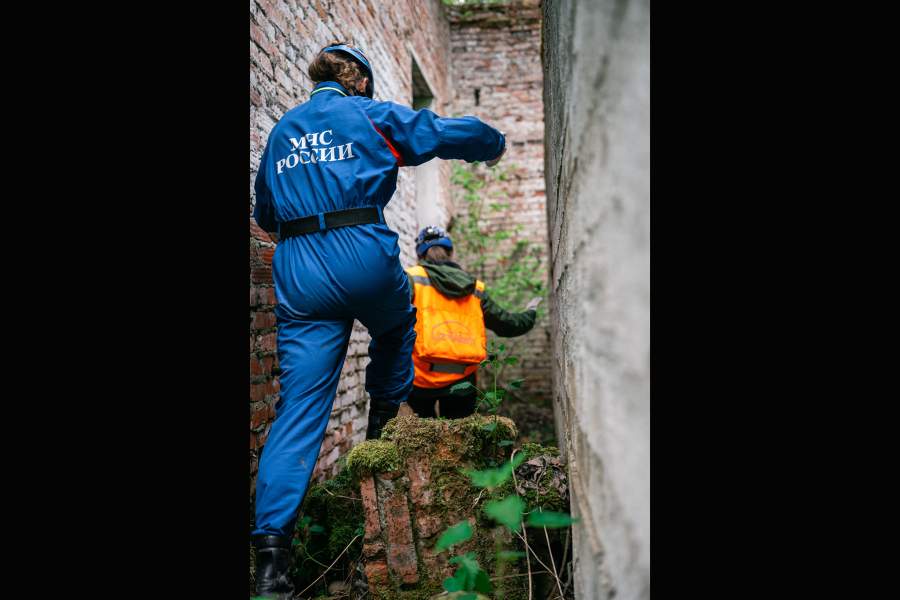 Как собаки помогают искать людей