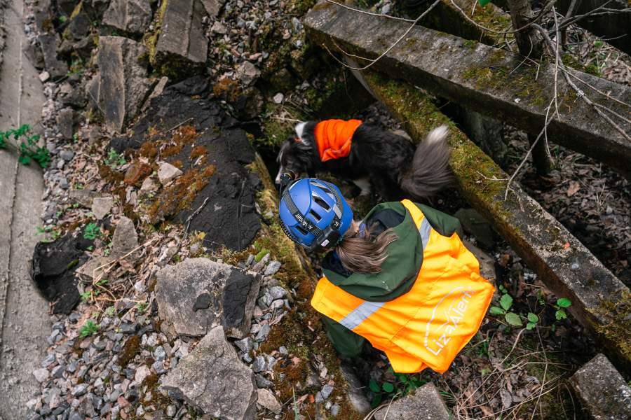 Как собаки помогают искать людей