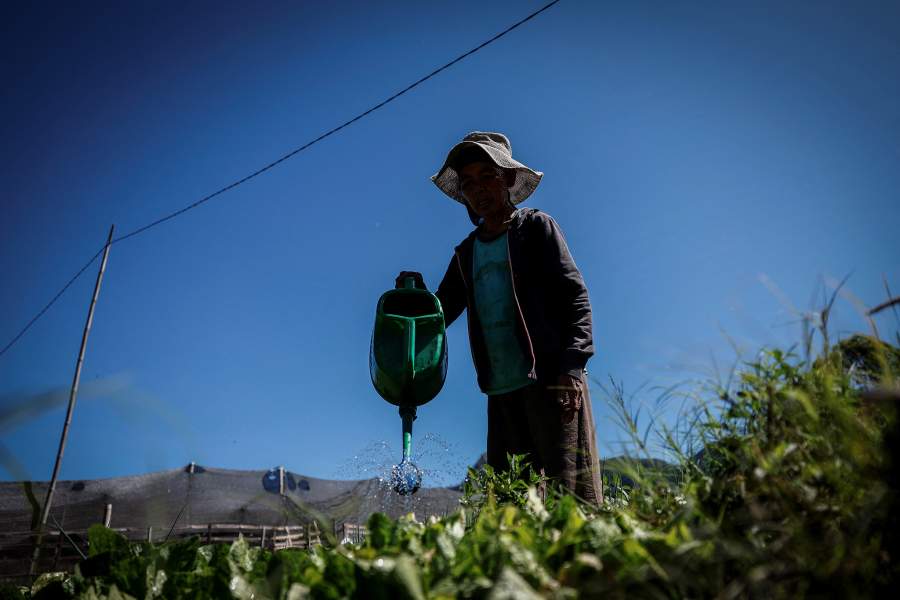 Древние ритуалы благодарения Касада