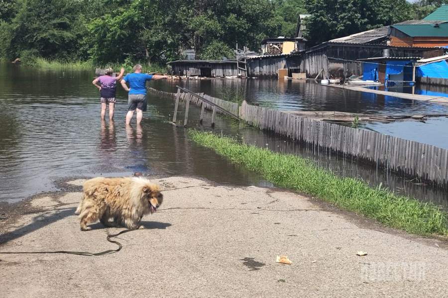 Наводнение в Приморье