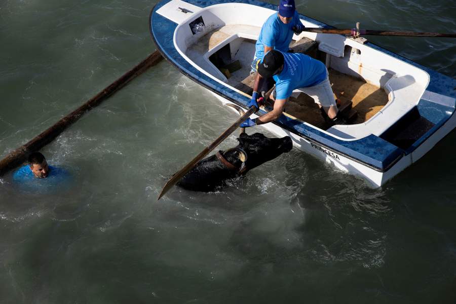 Фестивали Сан-Фермин и Боус-а-ла-Мар в Испании