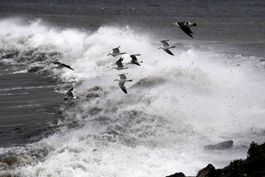 Тайфун «Гаеми»