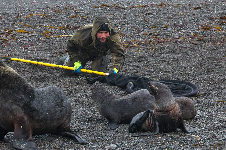 Экспедиция «Бумеранга» на остров Тюлений